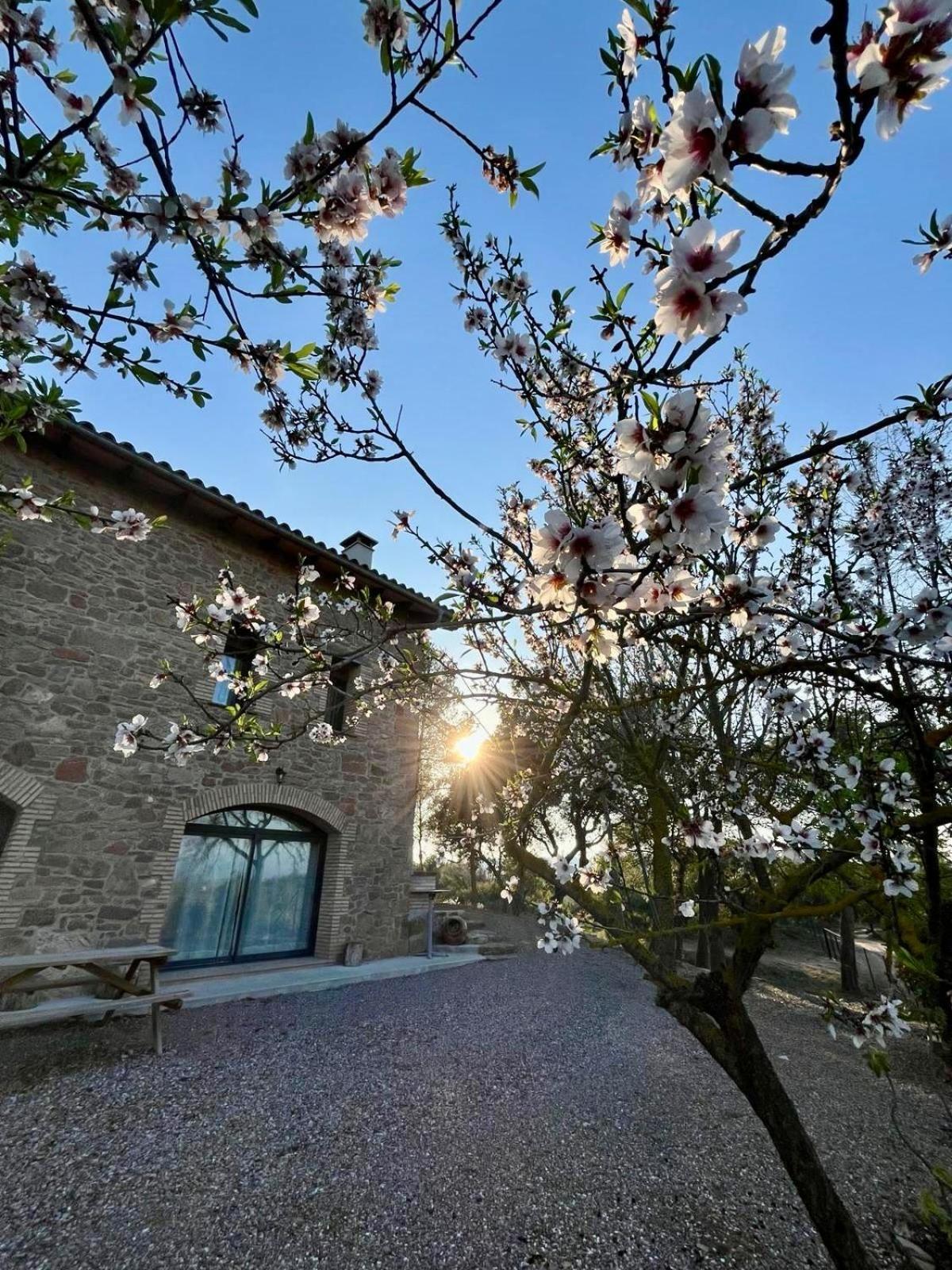 Ca L'Artigalas Cardona Exterior photo